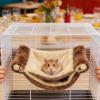 Winter Hamster Hammock for Small Rodents view 4