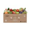 Raw Produce Box 5 kg – Fruit & Vegetables for Raw Consumption – Fresh from the Region view 1