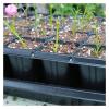 Seilosbox 10-Pack Black Plastic Seedling Trays, 21/32/50/75 Holes view 3