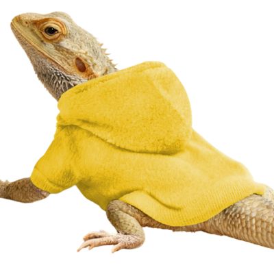 Bearded Dragon Outfit 14 X 18 cm Soft Fleece