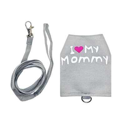 Glowing Canvas Lizard Harness with Leash