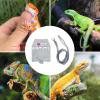 Glowing Canvas Lizard Harness with Leash view 4