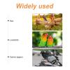 DECHOUS Chick Stand Made of Composite Material for Chickens and Parrots, Beige Rooster Stand with Mobility Training Function for Cages view 3