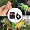 Bearded Dragon Harness with Leash, Breathable and Reflective view 4