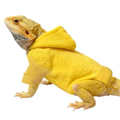Bearded Dragon Costume