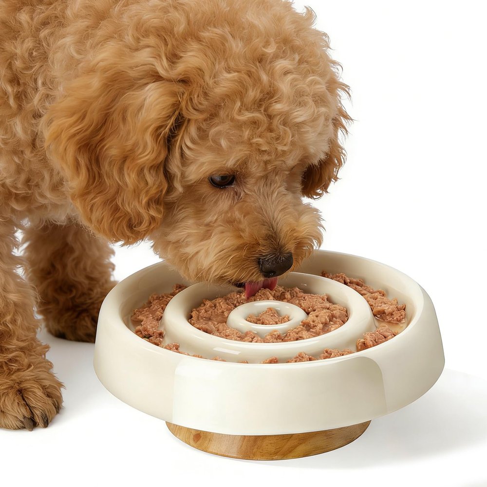 Slow-Feeder Dog Bowl with Wooden Stand, Elevated, Beige, 17 cm