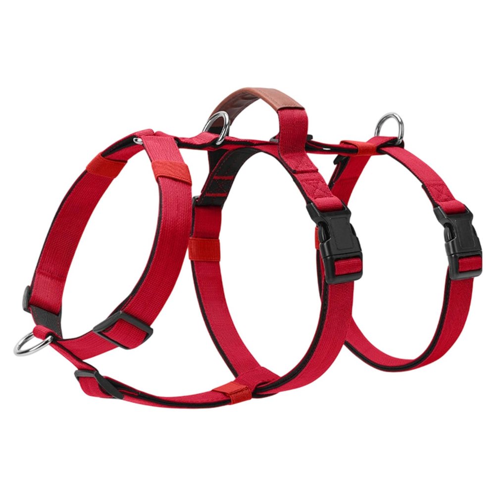 Ergonomic Adjustable Dog Training Harness