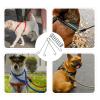 YARNOW Stainless Steel Shock Absorbing Leash Spring view 3