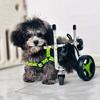 ZQBXHDZW Hind-Leg Dog Wheelchair, Adjustable Leg Brace and Support for Small Dogs and Cats with Disabilities, Arthritis, Paralysis or Injuries (XXS, Two Wheels) view 2