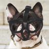 YARNOW Adjustable Breathable Nylon Mesh Dog Muzzle, 46–56 cm Neck Circumference view 3