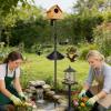 Tall Bird Feeder Pole with Sturdy Hooked Holder view 3