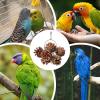 Gifyym Parrot Chew Toy - Pine Cone Christmas view 3