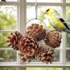 Gifyym Parrot Chew Toy - Pine Cone Christmas view 4