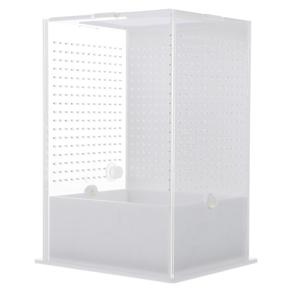 NUOBESTY Acrylic Breeding Container for Praying Mantises