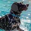 Dog Ear Protectors - Noise-Reducing Ear Covers for Dogs view 3