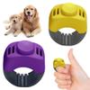 huoanpo 2X Dog Clicker Set (19mm/21mm) in Purple and Yellow view 1