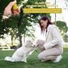 huoanpo 2X Dog Clicker Set (19mm/21mm) in Purple and Yellow view 4