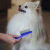 4-Piece Metal-Tooth Flea, Tear Stain, Lice and Dust Comb Set for Cats and Dogs view 2