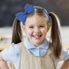 Girls' Blue Hair Accessories Set, 15-Piece Bow Clips and Hair Ties view 2