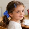 Girls' Blue Hair Accessories Set, 15-Piece Bow Clips and Hair Ties view 3