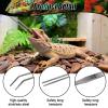 Noviatrix 2-Piece Aquarium Tweezers Set, 27 cm Stainless Steel view 3