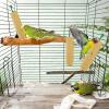 Parakeet Nutritious Food Sticks, Flavorful Munch Bars view 2