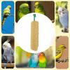 Parakeet Nutritious Food Sticks, Flavorful Munch Bars view 4