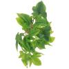Hohopeti Artificial Reptile Plants view 1