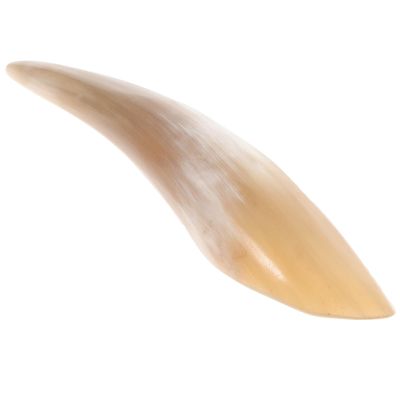 ELAYARD Large Horn Gua Sha Massage Tool