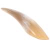 ELAYARD Large Horn Gua Sha Massage Tool view 1