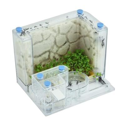 TOTIKI Ant Farm Castle