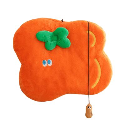 Wcybym Orange Cat Bed Mat