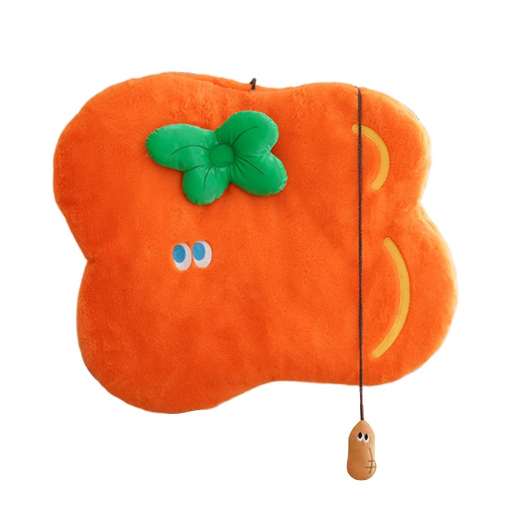 Wcybym Orange Cat Bed Mat