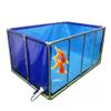 ERSINIAN Large Foldable Aquarium with Metal Frame for Bing Koi, Easy to Assemble, Transparent Viewing Window, Blue + Clear, 300 x 200 x 60 cm view 2