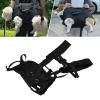 Jectse Dog Carrier, Breathable Mesh, Lightweight Pet Chest Carrier for Hiking, Travel and Outdoor Use, for Small Dogs and Cats, Nylon, M, 35 x 27 x 20 cm (13.78 x 10.63 x 7.87 in) view 2