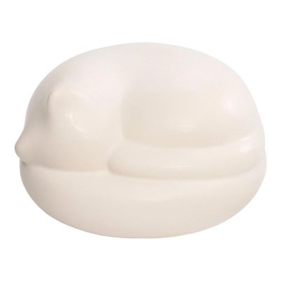 Pet Urn for Dogs, Leakproof Hair Storage Container