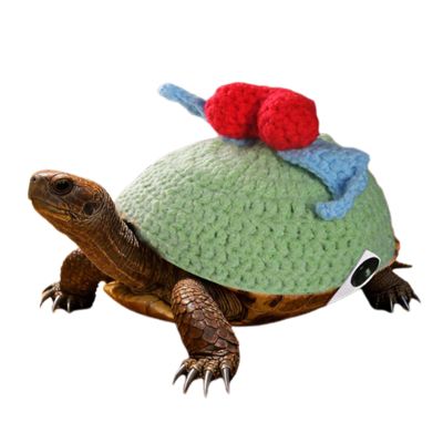 Tortoise Clothing - 3D Knitted Turtle Sweater