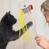 Interactive Cat Wand Toy with Bell for Kittens and Small to Medium Cats view 3