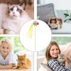 Interactive Cat Wand Toy with Bell for Kittens and Small to Medium Cats view 4