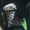 YARNOW Pet Divider Net for Cars view 4