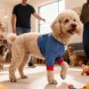 Washable Soft Breathable Dog Elbow Recovery Sleeve view 3