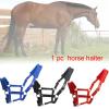 MALSSE Durable Metal Eyelet Hook for Safe Riding and Training view 4