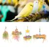 SAXOJONON Parrot Shredding Toy, Chewable Hanging Foraging Toy Made of Natural Bamboo and Rattan with Hook, Anxiety Relief, Multi-Purpose Bird Cage Decoration view 3