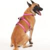 Kfwfuaee Adjustable Escape-Proof Dog Harness for Large Dogs view 2