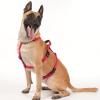 Kfwfuaee Adjustable Escape-Proof Dog Harness for Large Dogs view 4
