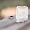 Ciieeo Acrylic Ant Water Dispenser, Large Transparent Feeding Bowl for Formicariums view 4