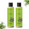 Rosemary Shampoo for Hair Thickening, 2-Pack view 1