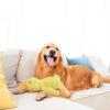 Anti-Stress Duck Dog Toy view 3