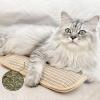 2-Pack Catnip Cat Toys, Sisal Scratching Mat, Interactive Cat Bite Toy, Self-Entertainment, Helps Relieve Anxiety (27 x 9 cm) view 3