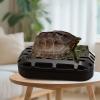 Turtle Waste Catcher with Suction Cup and Quick Release view 2